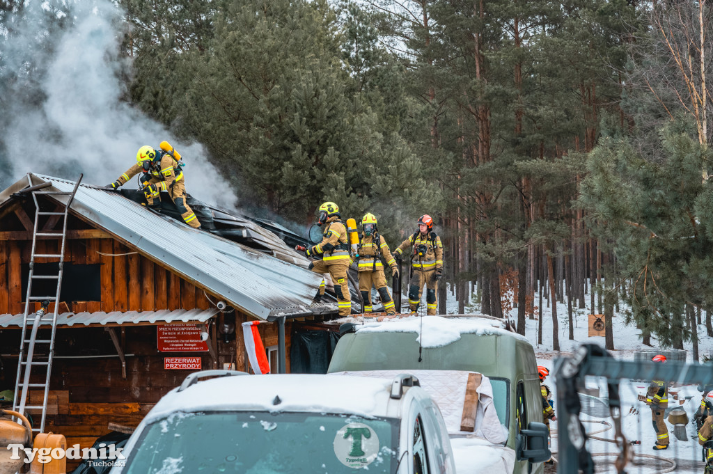 Pożar w gminie Cekcyn! Strażacy ruszyli do akcji w sobotę rano