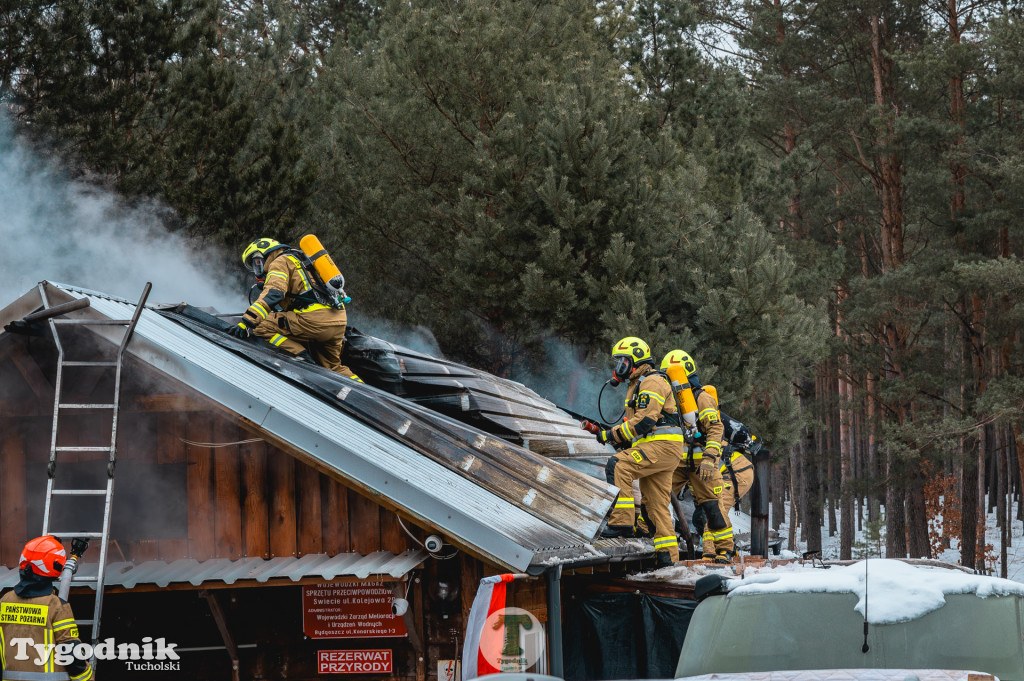 Pożar w gminie Cekcyn! Strażacy ruszyli do akcji w sobotę rano