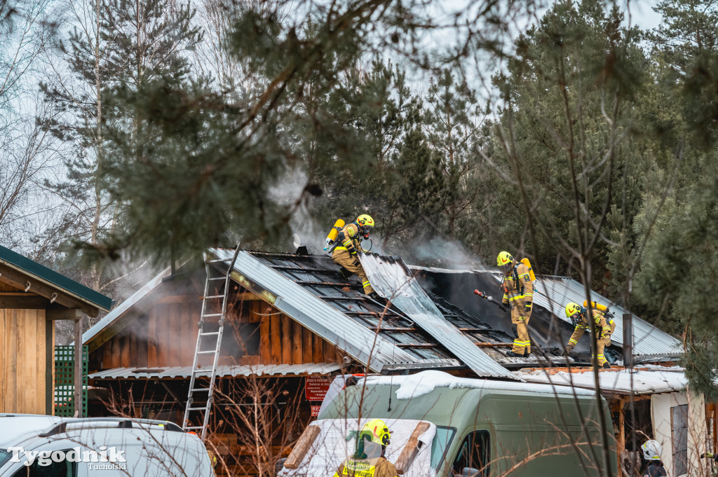 Pożar w gminie Cekcyn! Strażacy ruszyli do akcji w sobotę rano