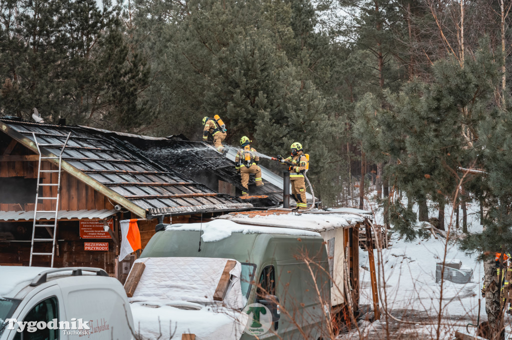 Pożar w gminie Cekcyn! Strażacy ruszyli do akcji w sobotę rano