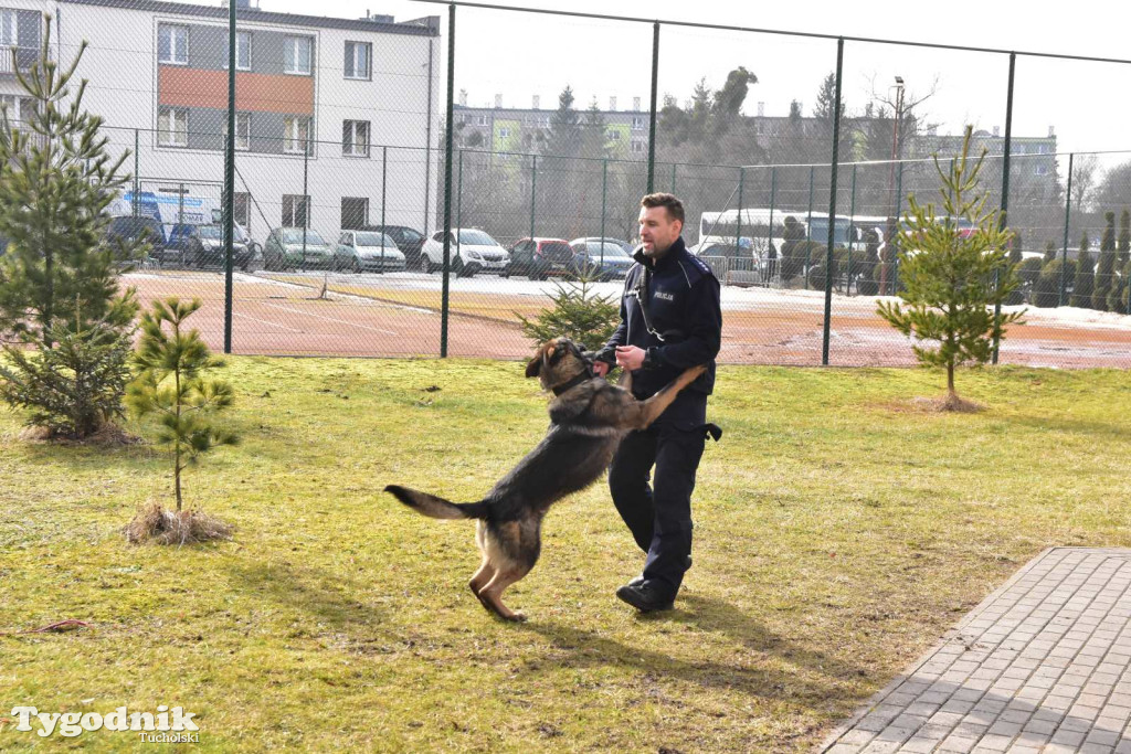 Tuchola: Tłum zainteresowanych na Targach Pracy i Festiwalu Służb Mundurowych