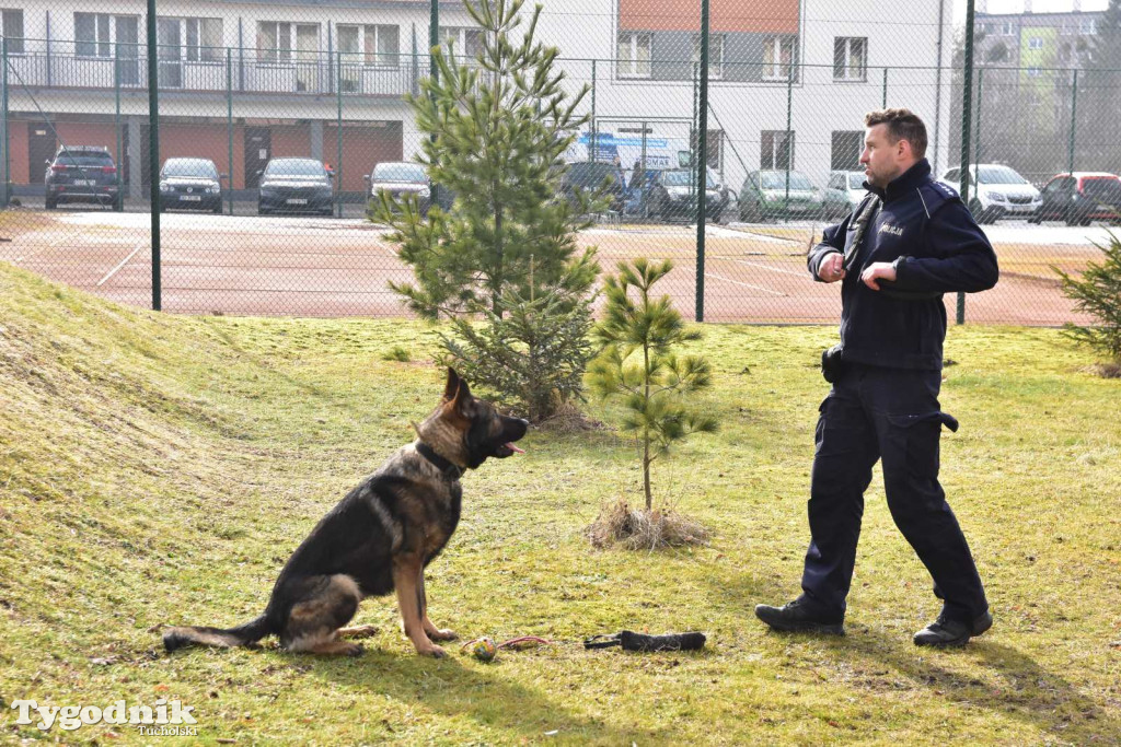 Tuchola: Tłum zainteresowanych na Targach Pracy i Festiwalu Służb Mundurowych