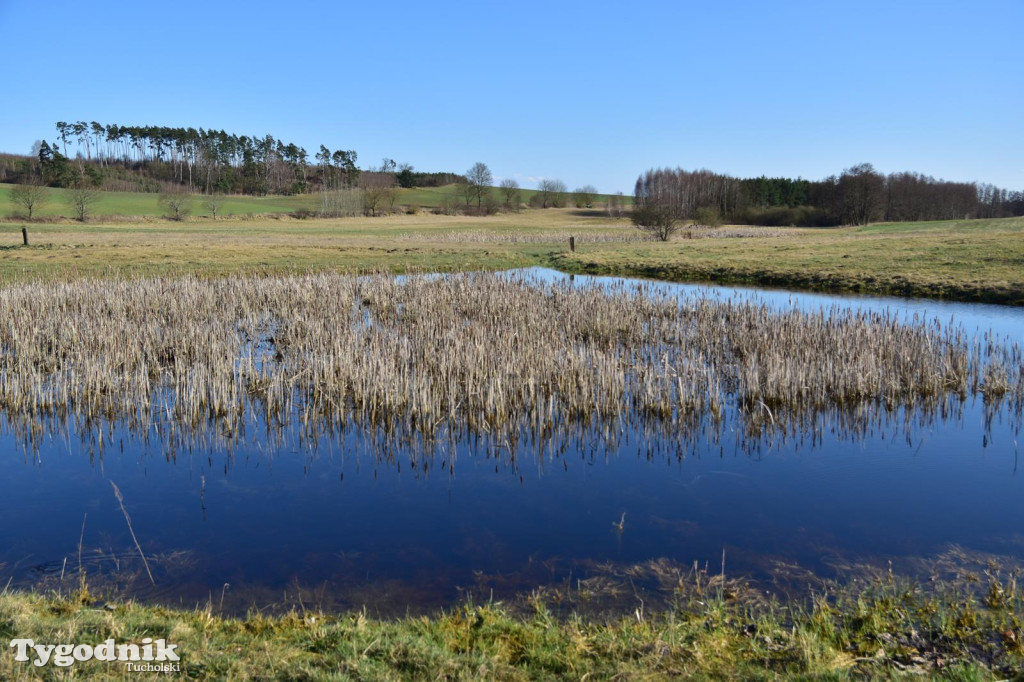 Przyrowa: Wielkanocny kiermasz i poszukiwania zajączka