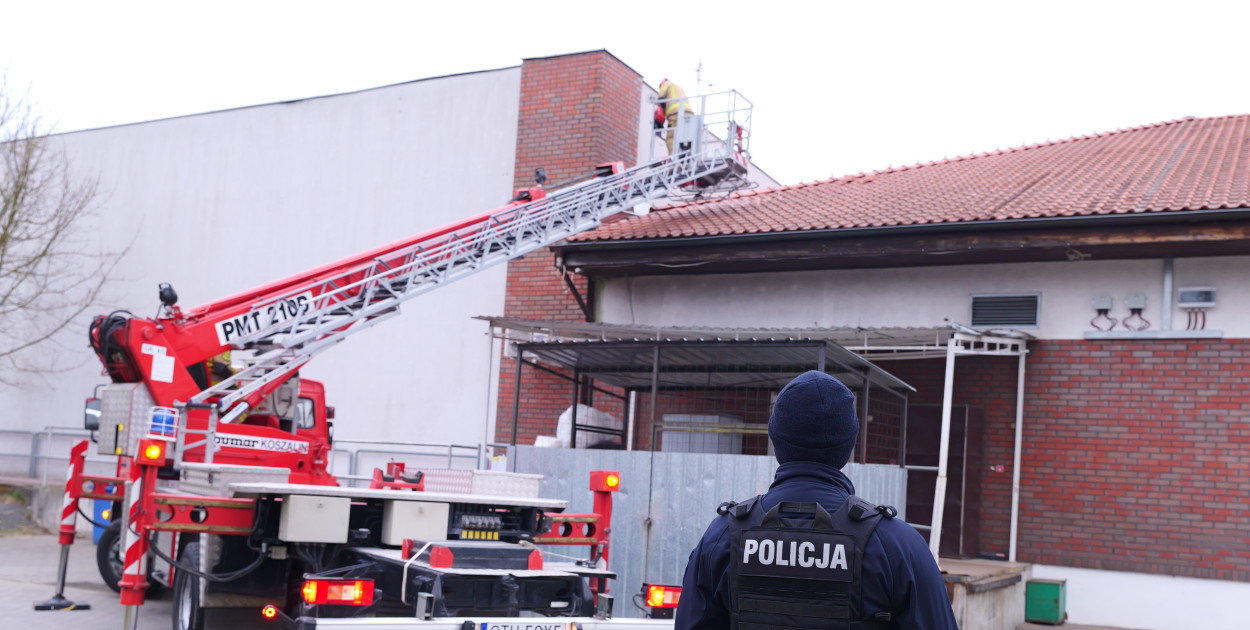 Włamanie i kradzież? Działania policji w Polo