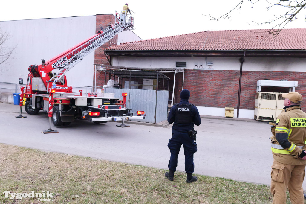 Włamanie i kradzież? Działania policji w Polo