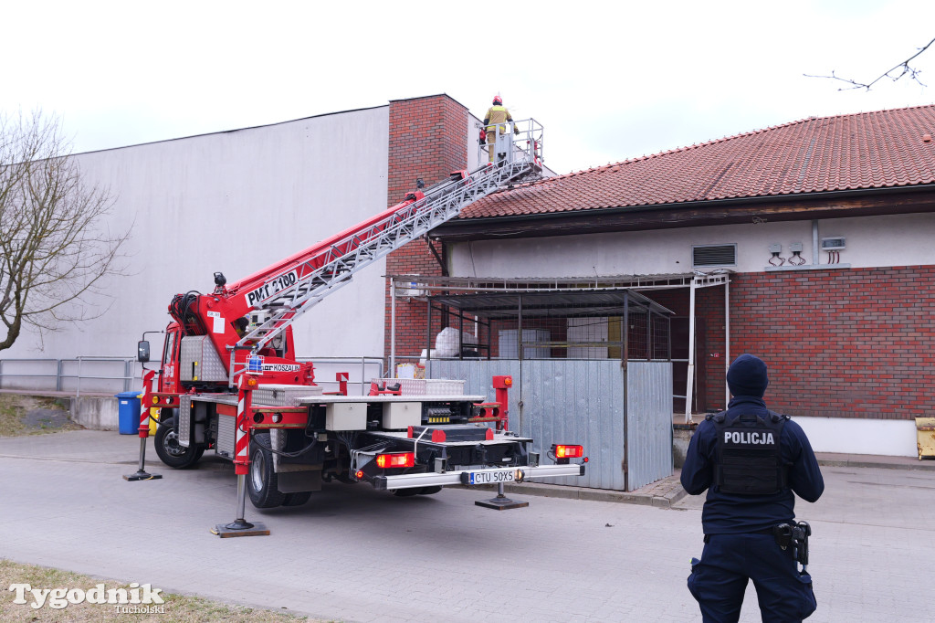 Włamanie i kradzież? Działania policji w Polo