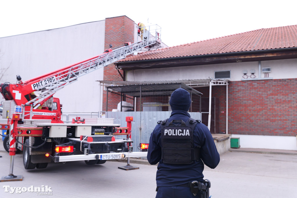 Włamanie i kradzież? Działania policji w Polo