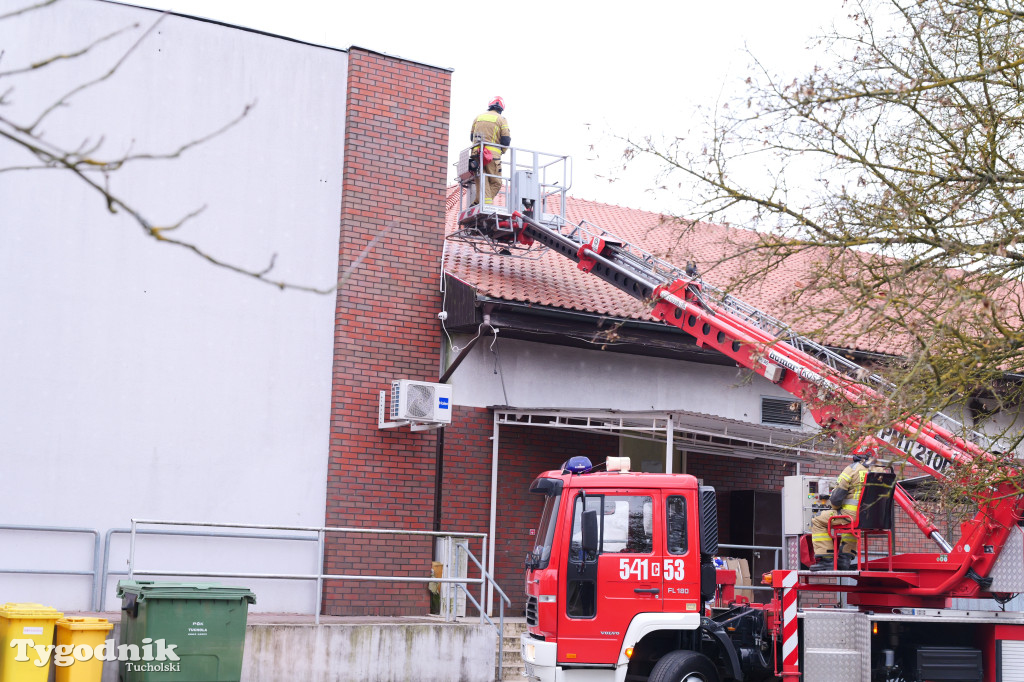 Włamanie i kradzież? Działania policji w Polo