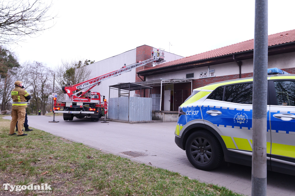 Włamanie i kradzież? Działania policji w Polo
