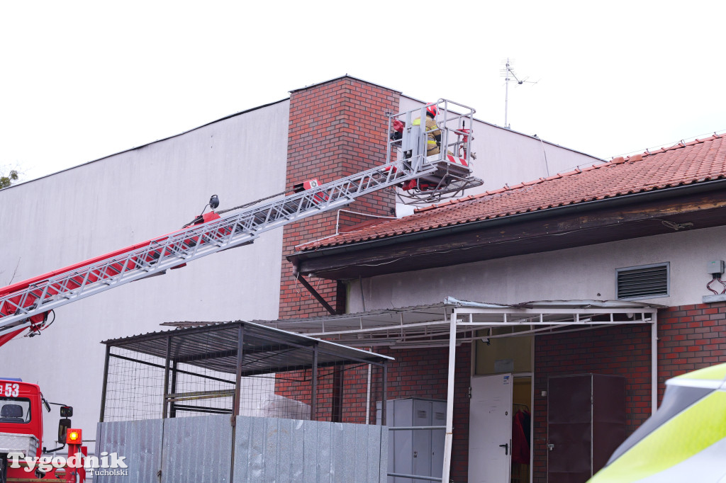 Włamanie i kradzież? Działania policji w Polo
