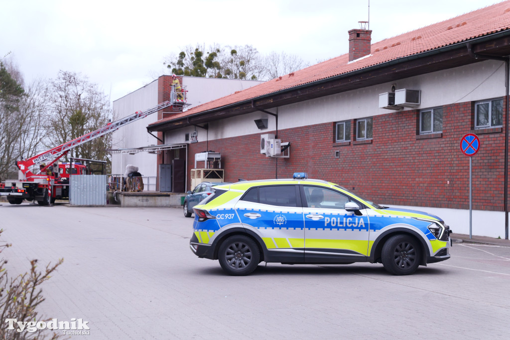Włamanie i kradzież? Działania policji w Polo