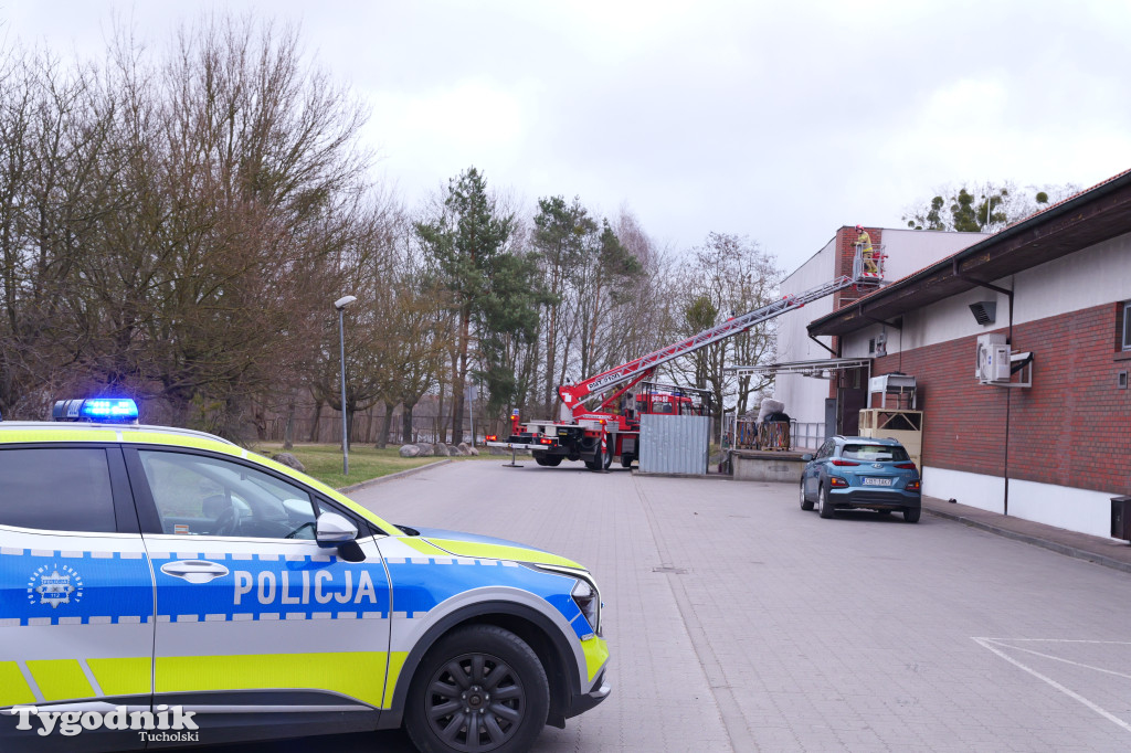 Włamanie i kradzież? Działania policji w Polo