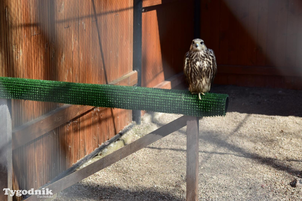 Drzwi otwarte w Technikum Leśnym - 11.04.2026