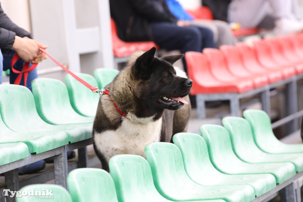 Klasa B: Cis i Myśliwiec gościnni dla rywali