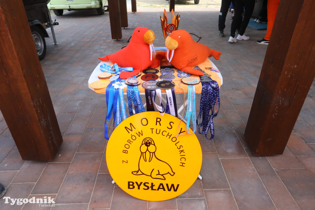 Morsy z Borów: zakończenie sezonu 2025/2026