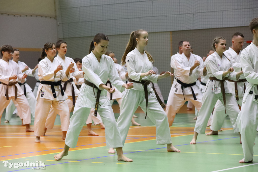 Seminarium tucholskich karateków w towarzystwie gościa z Włoch