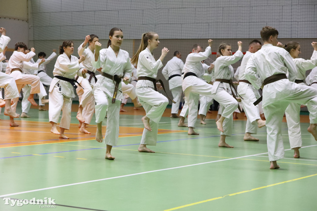 Seminarium tucholskich karateków w towarzystwie gościa z Włoch