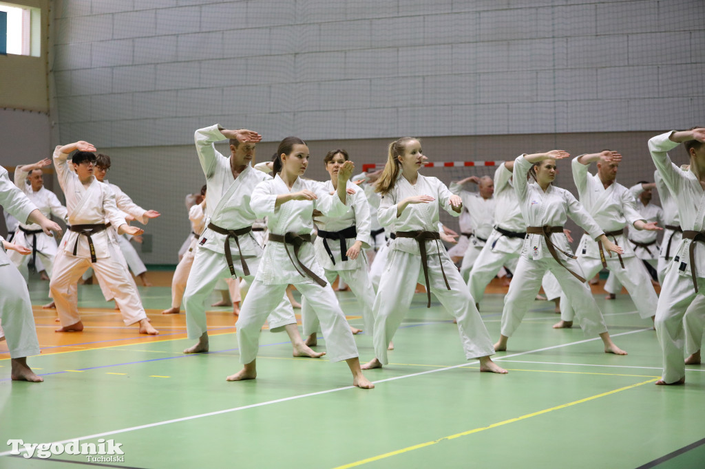 Seminarium tucholskich karateków w towarzystwie gościa z Włoch