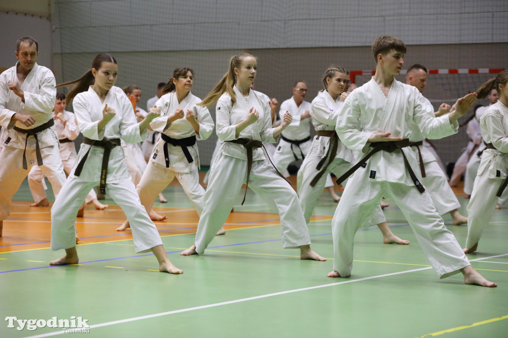 Seminarium tucholskich karateków w towarzystwie gościa z Włoch