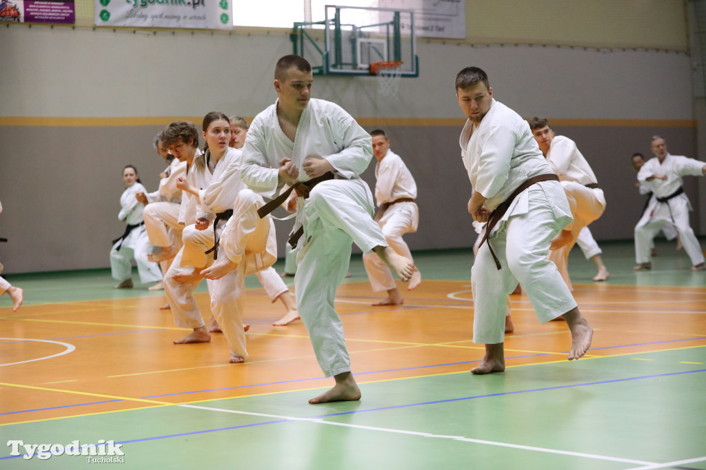 Seminarium tucholskich karateków w towarzystwie gościa z Włoch