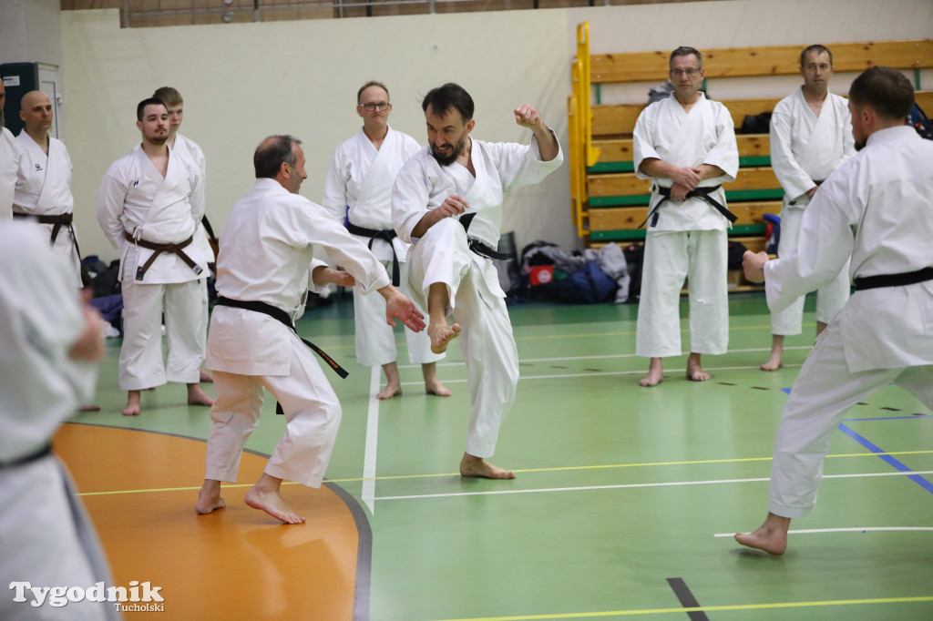 Seminarium tucholskich karateków w towarzystwie gościa z Włoch