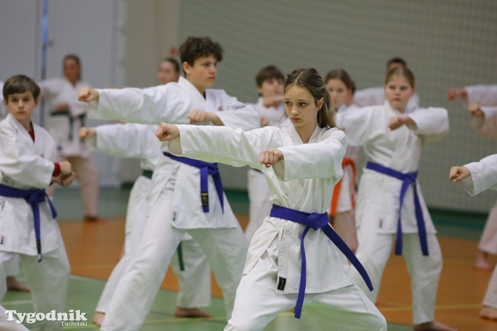 Seminarium tucholskich karateków w towarzystwie gościa z Włoch