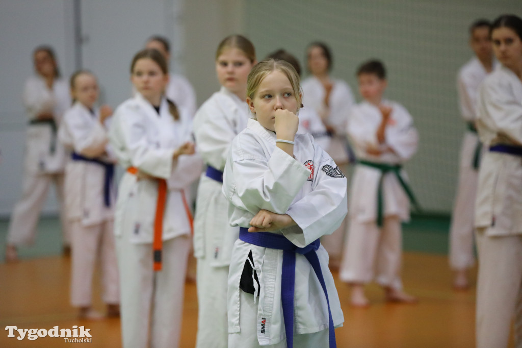 Seminarium tucholskich karateków w towarzystwie gościa z Włoch