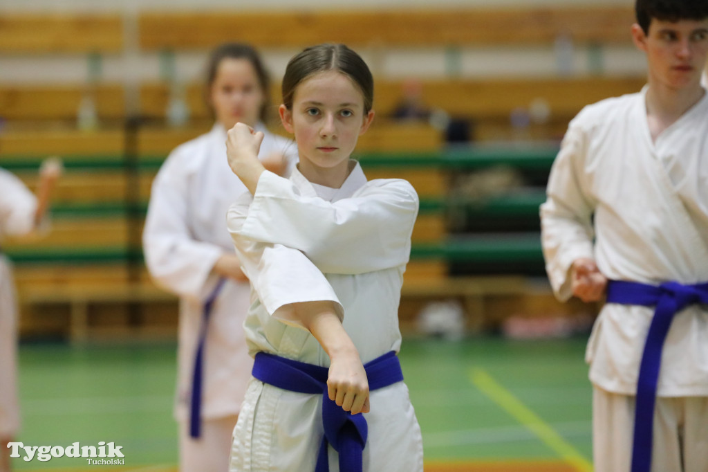 Seminarium tucholskich karateków w towarzystwie gościa z Włoch