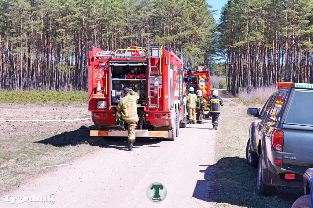 Zakonspirowane ćwiczenia. Strażacy i leśnicy do pożaru