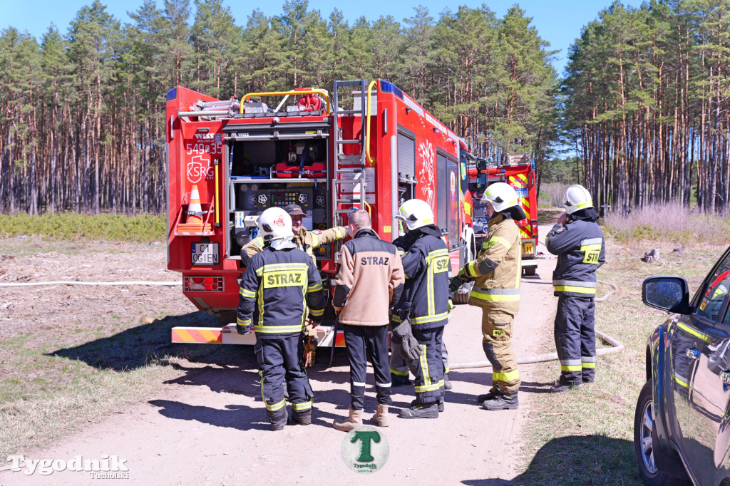 Zakonspirowane ćwiczenia. Strażacy i leśnicy do pożaru