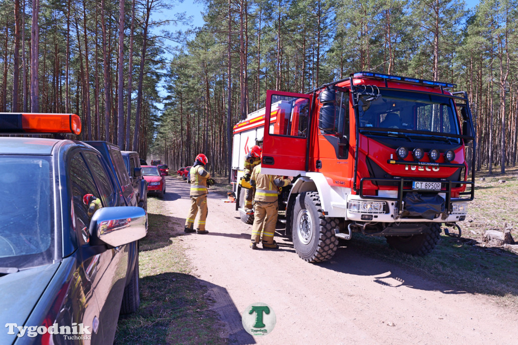 Zakonspirowane ćwiczenia. Strażacy i leśnicy do pożaru