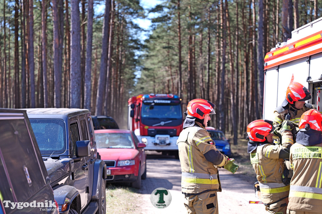 Zakonspirowane ćwiczenia. Strażacy i leśnicy do pożaru