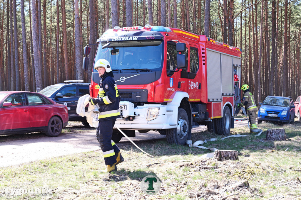 Zakonspirowane ćwiczenia. Strażacy i leśnicy do pożaru