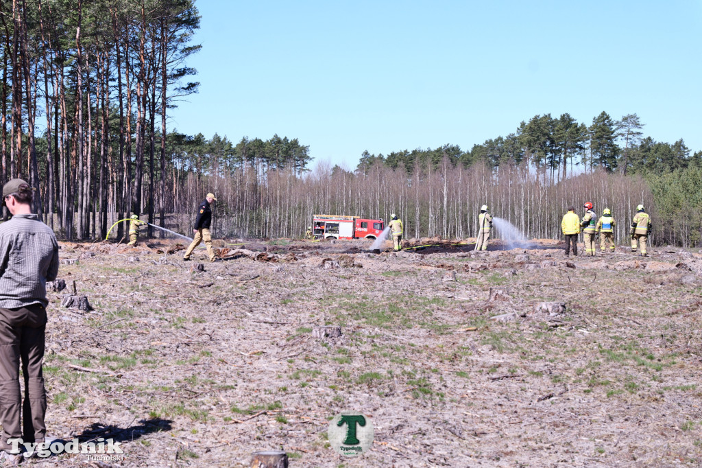 Zakonspirowane ćwiczenia. Strażacy i leśnicy do pożaru