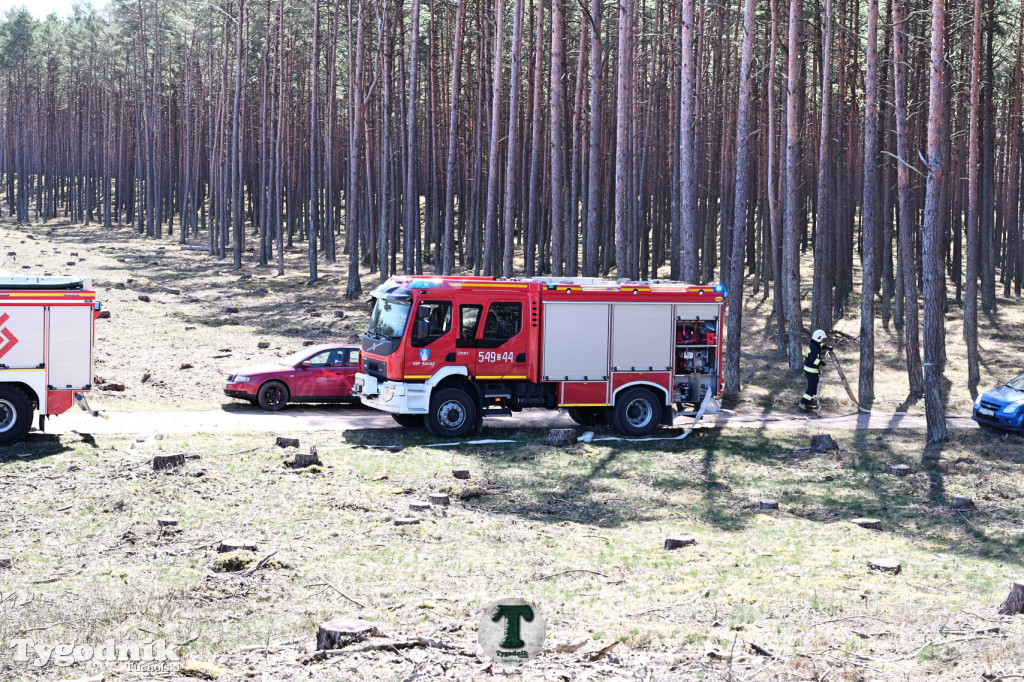 Zakonspirowane ćwiczenia. Strażacy i leśnicy do pożaru