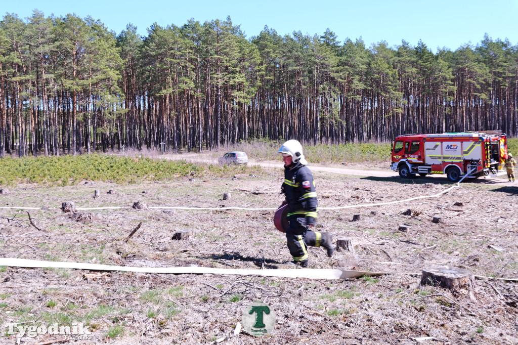 Zakonspirowane ćwiczenia. Strażacy i leśnicy do pożaru