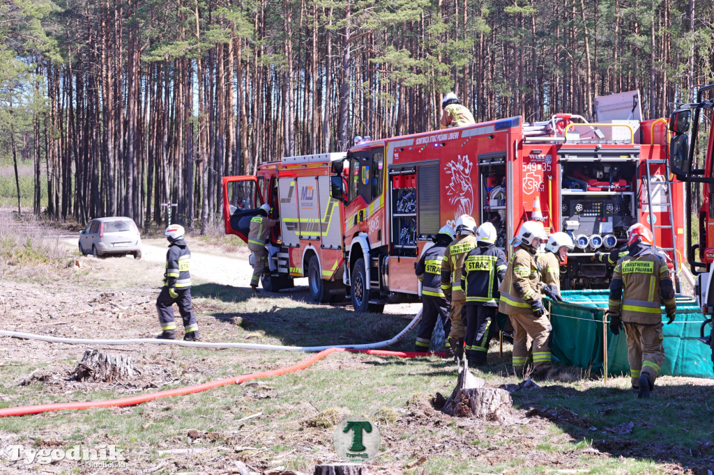 Zakonspirowane ćwiczenia. Strażacy i leśnicy do pożaru