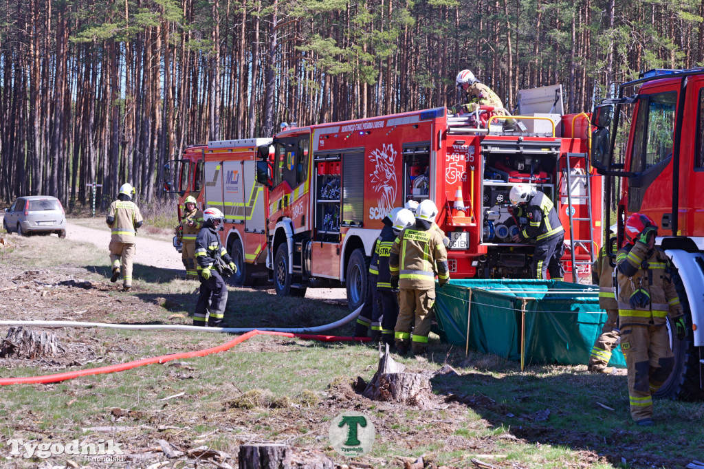 Zakonspirowane ćwiczenia. Strażacy i leśnicy do pożaru