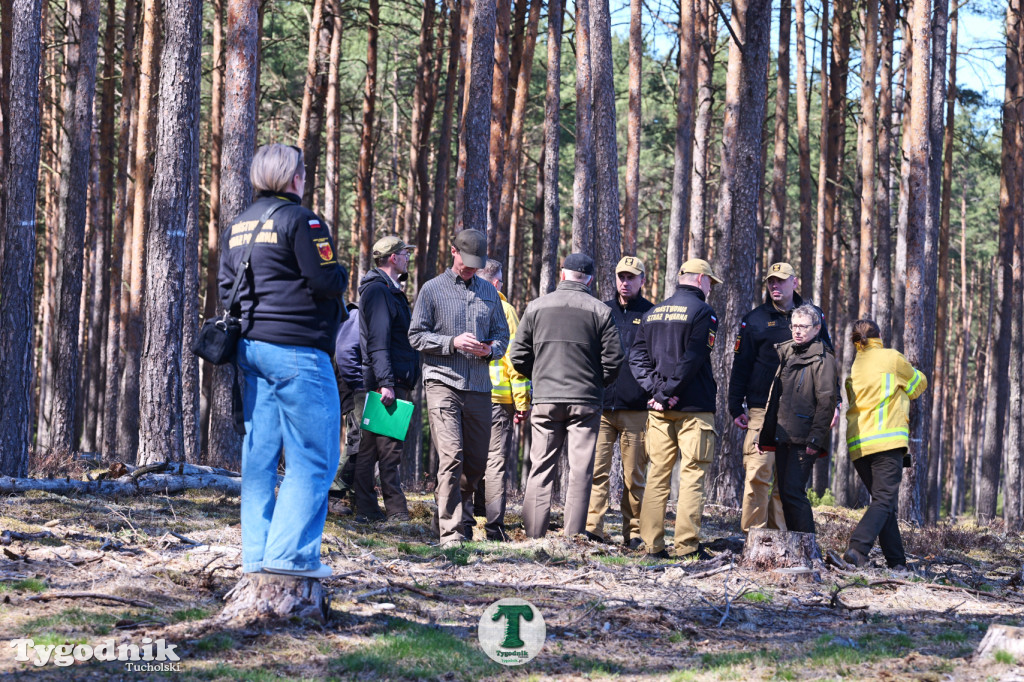 Zakonspirowane ćwiczenia. Strażacy i leśnicy do pożaru