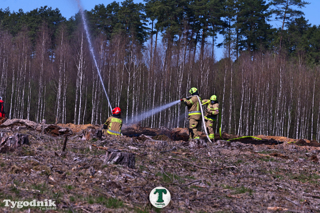 Zakonspirowane ćwiczenia. Strażacy i leśnicy do pożaru