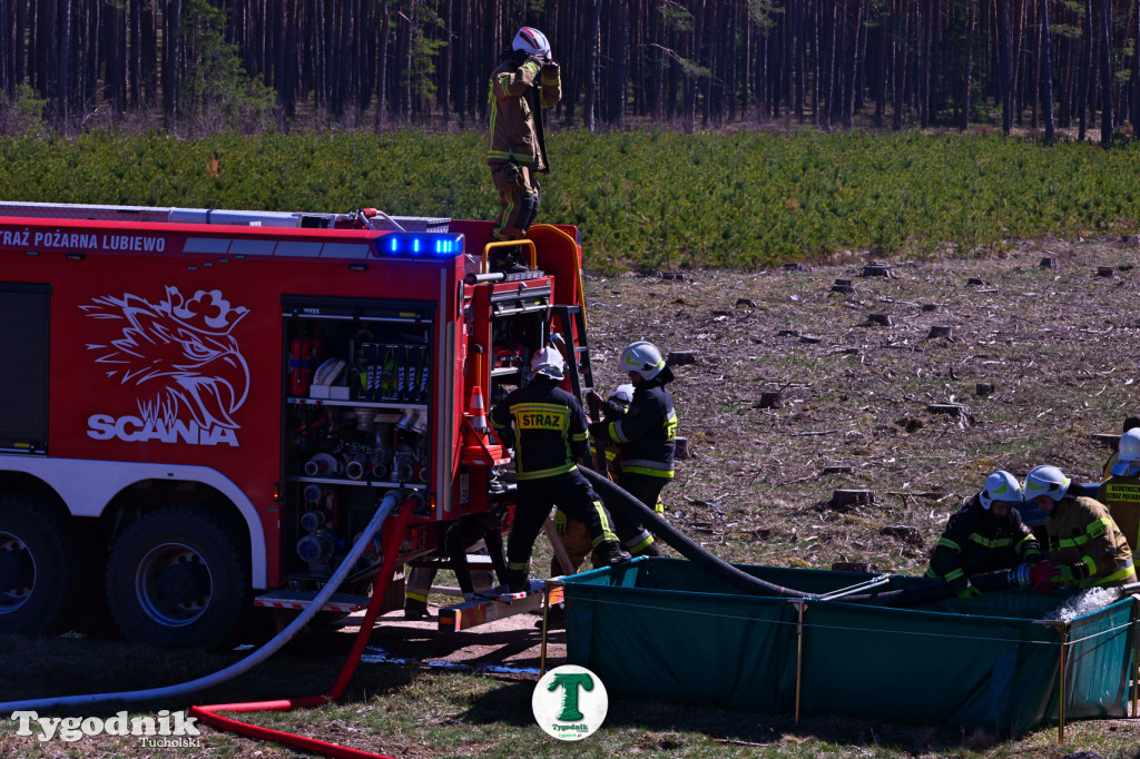 Zakonspirowane ćwiczenia. Strażacy i leśnicy do pożaru