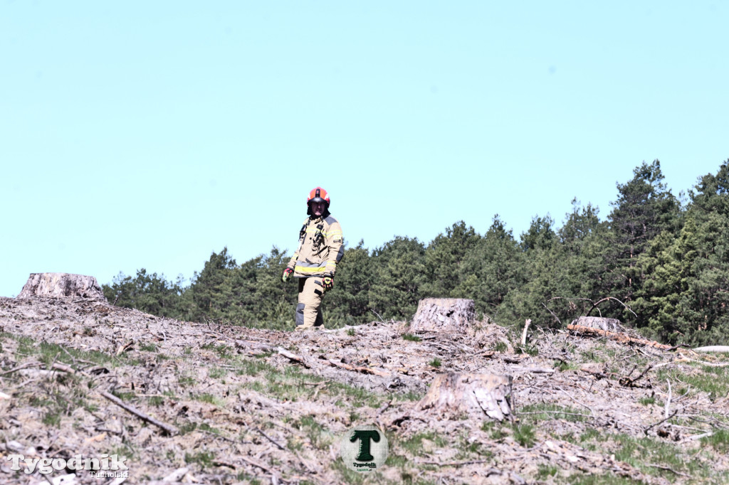 Zakonspirowane ćwiczenia. Strażacy i leśnicy do pożaru