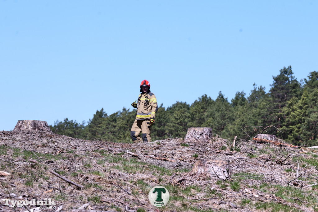 Zakonspirowane ćwiczenia. Strażacy i leśnicy do pożaru