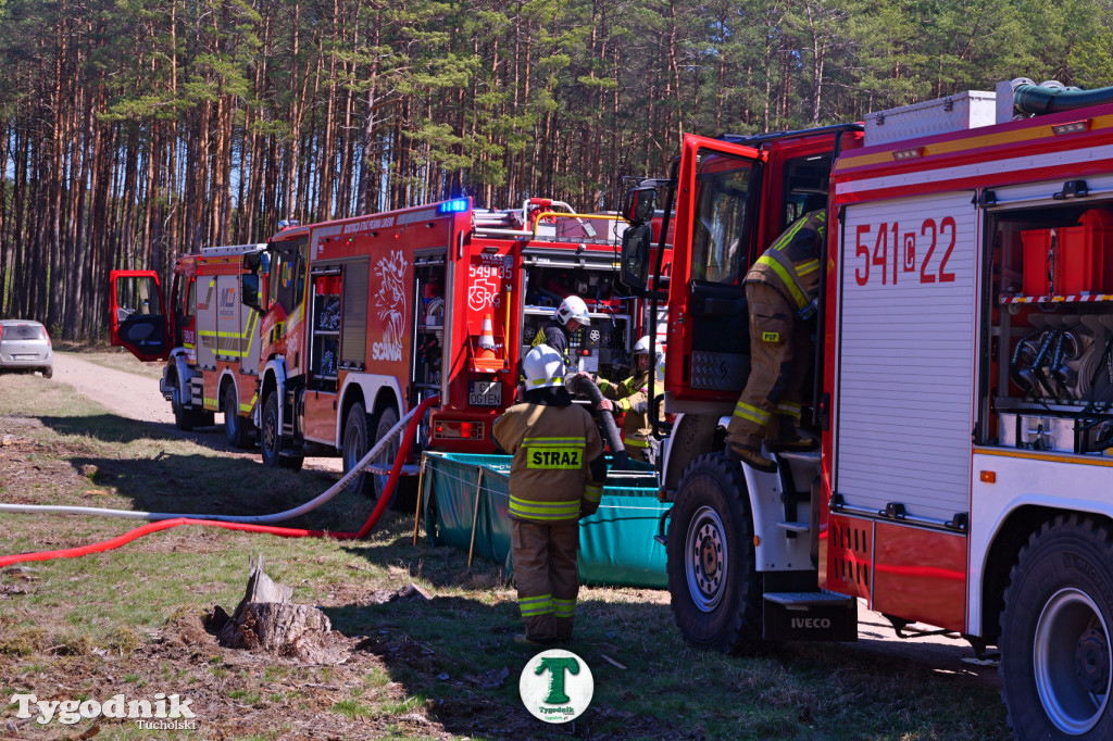 Zakonspirowane ćwiczenia. Strażacy i leśnicy do pożaru