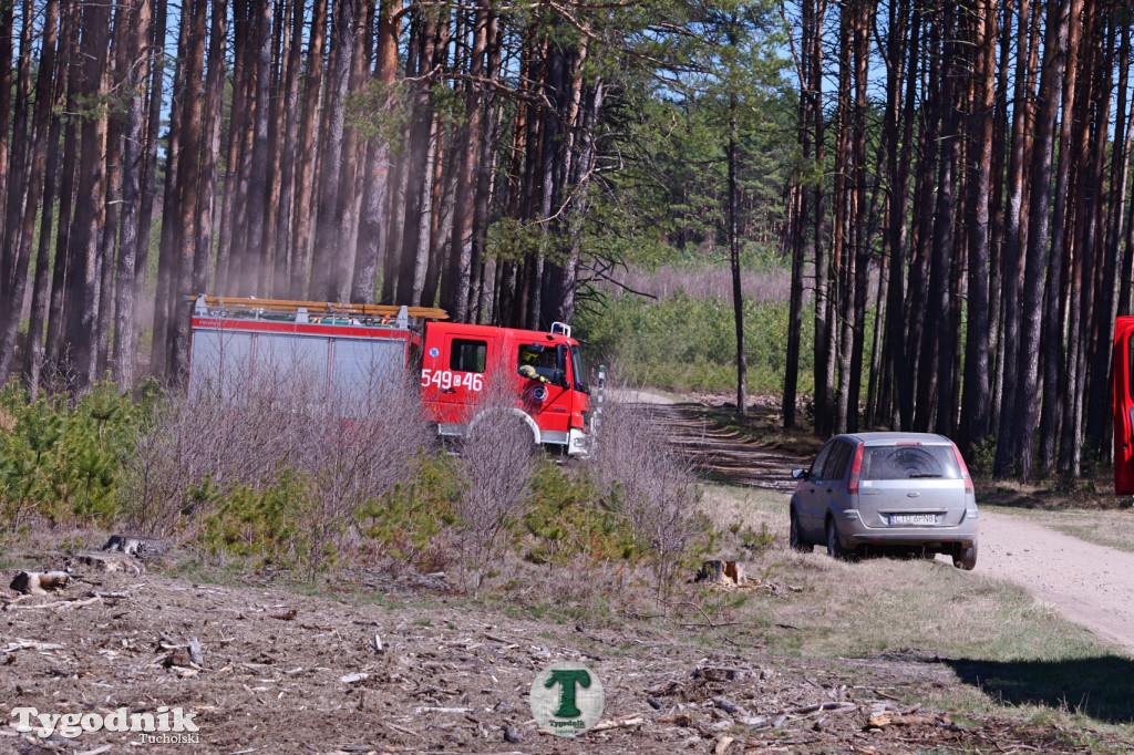 Zakonspirowane ćwiczenia. Strażacy i leśnicy do pożaru