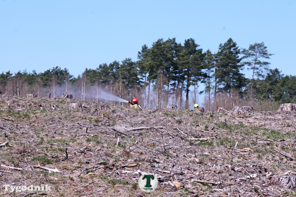 Zakonspirowane ćwiczenia. Strażacy i leśnicy do pożaru