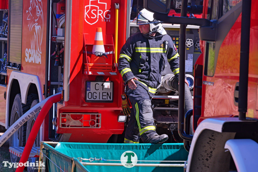 Zakonspirowane ćwiczenia. Strażacy i leśnicy do pożaru