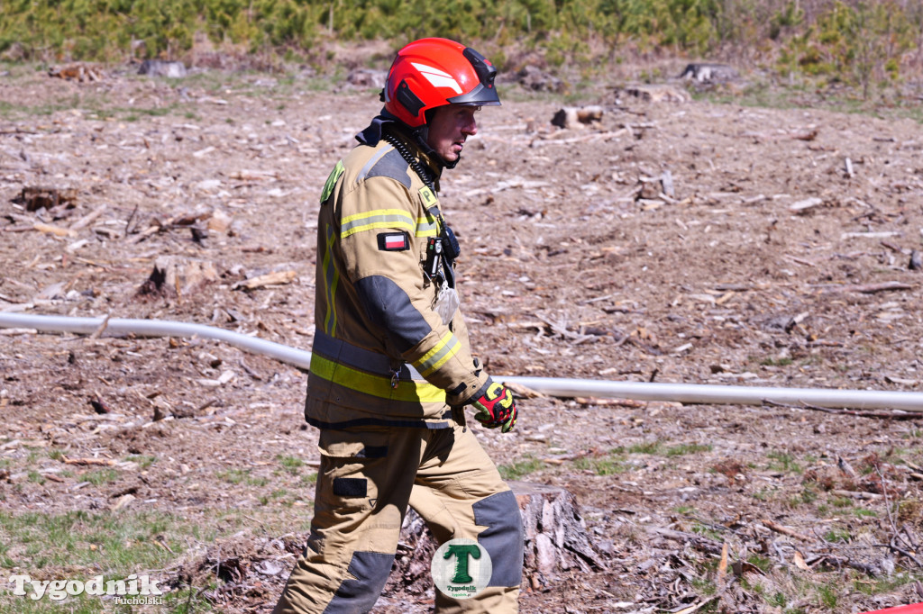 Zakonspirowane ćwiczenia. Strażacy i leśnicy do pożaru