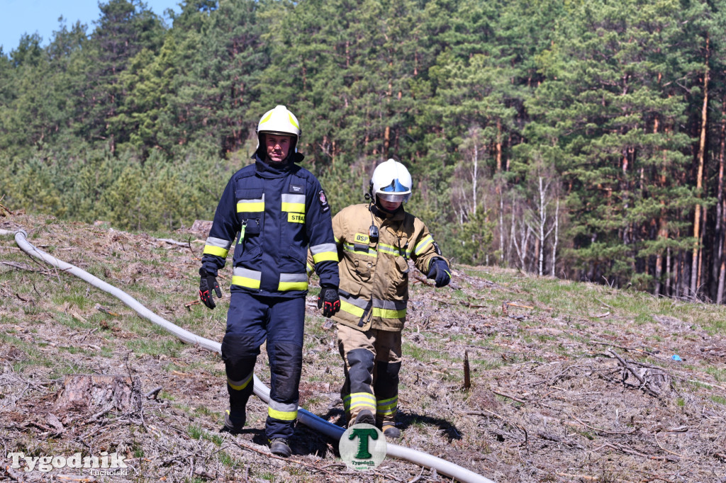Zakonspirowane ćwiczenia. Strażacy i leśnicy do pożaru