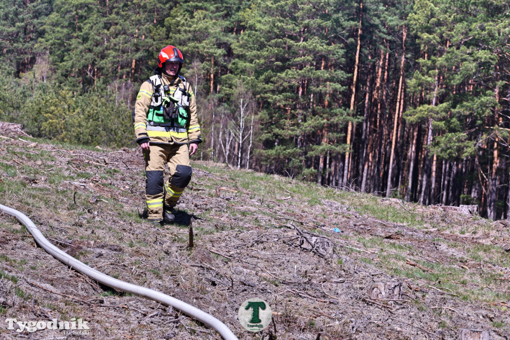 Zakonspirowane ćwiczenia. Strażacy i leśnicy do pożaru